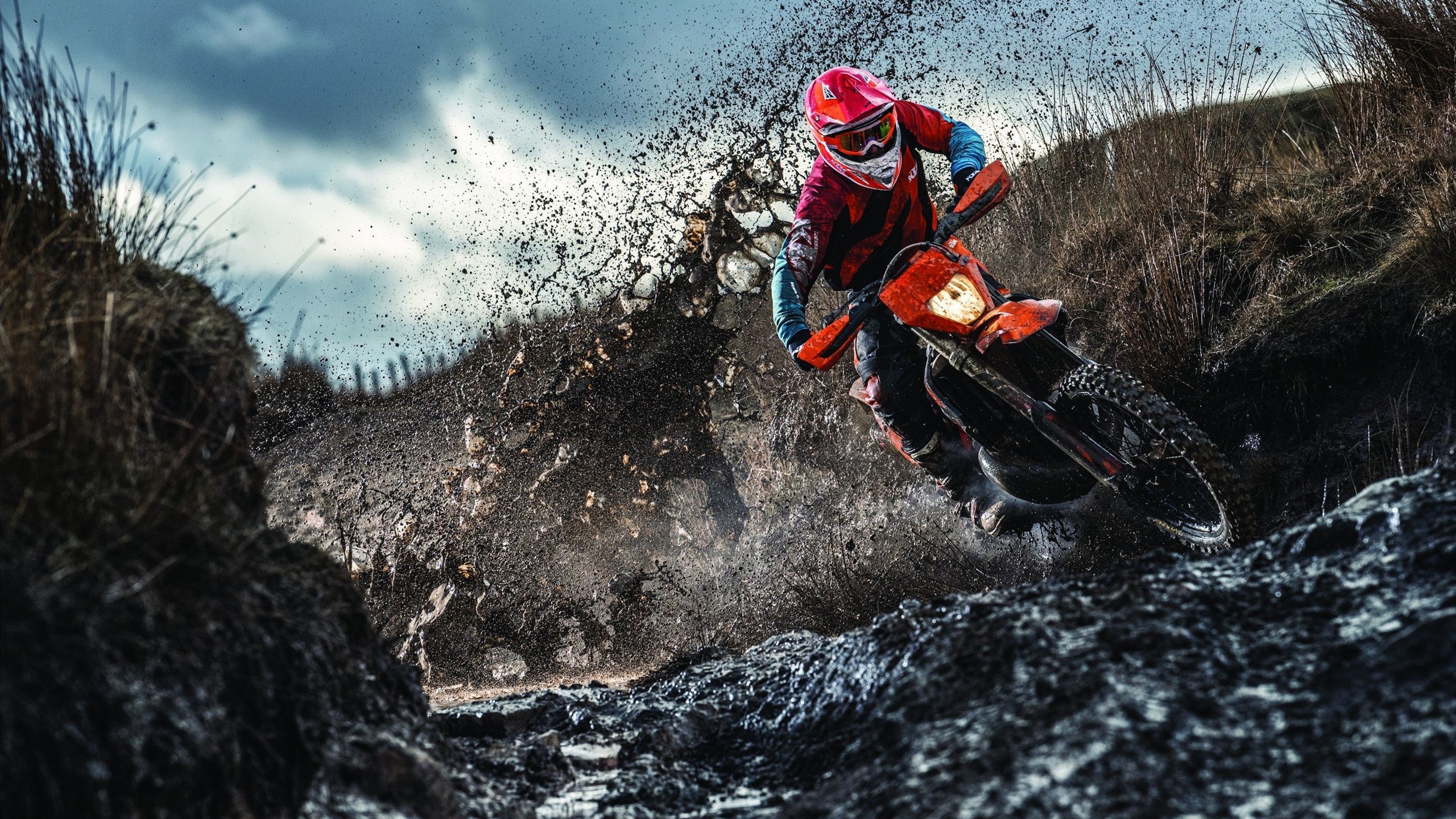 森林狼后卫获选联盟“最佳更衣室领袖奖”，森林狼最强赛季